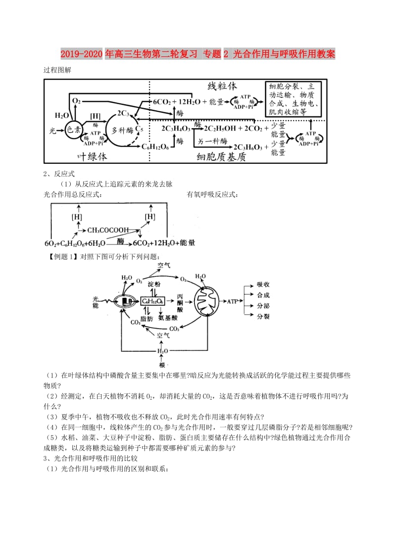 2019-2020年高三生物第二轮复习 专题2 光合作用与呼吸作用教案.doc_第1页