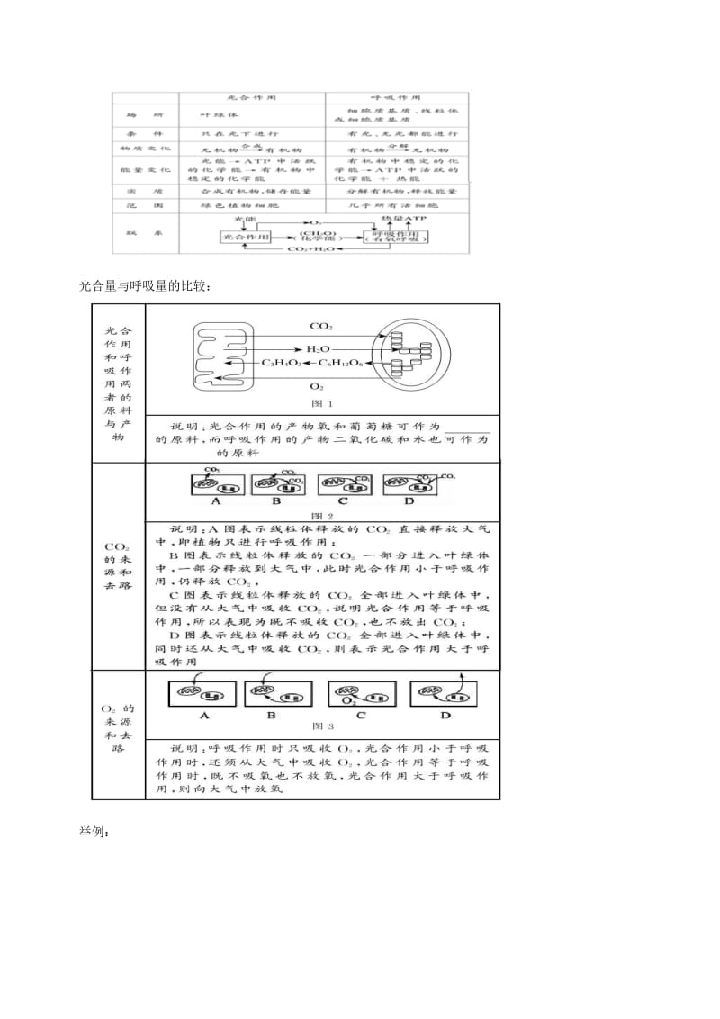 2019-2020年高三生物第二轮复习 专题2 光合作用与呼吸作用教案.doc_第2页