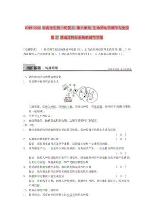 2019-2020年高考生物一輪復(fù)習(xí) 第八單元 生命活動的調(diào)節(jié)與免疫 第27講通過神經(jīng)系統(tǒng)的調(diào)節(jié)學(xué)案.doc