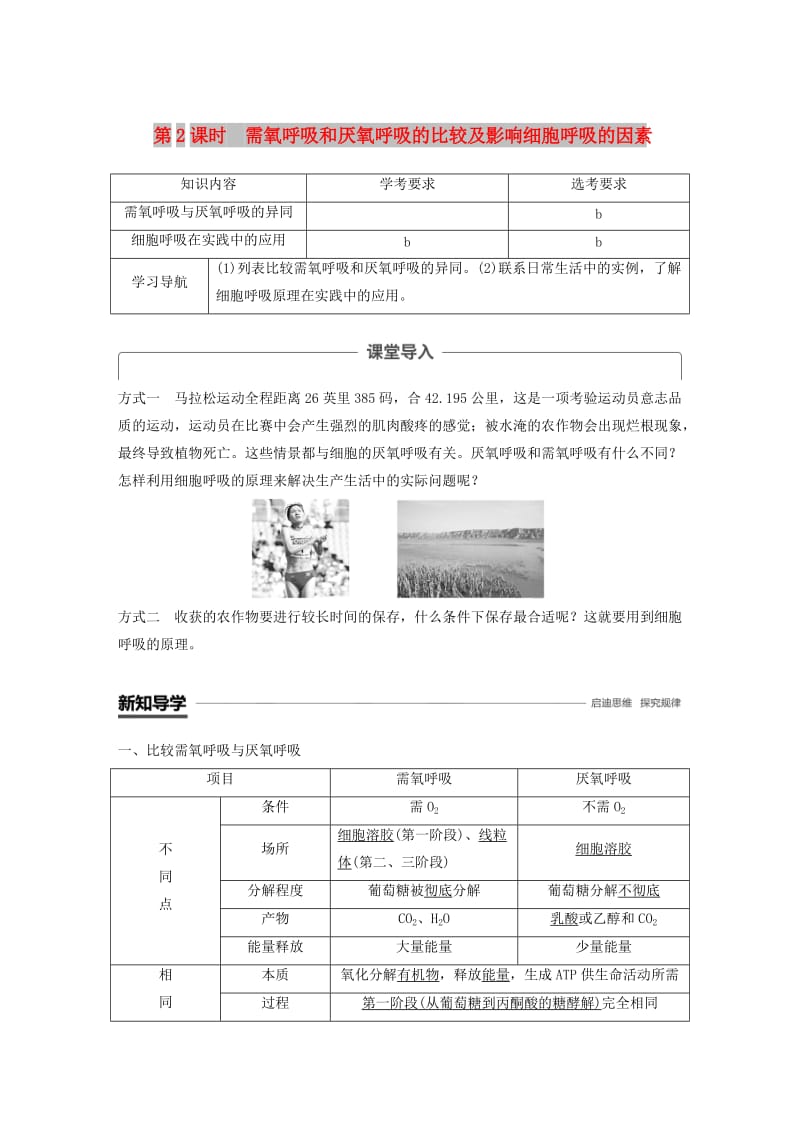 2018-2019版高中生物 第三章 细胞的代谢 第四节 细胞呼吸 第2课时学案 浙科版必修1.doc_第1页