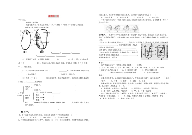 七年级科学下册 第1章 第4节 植物的一生学案 浙教版.doc_第1页