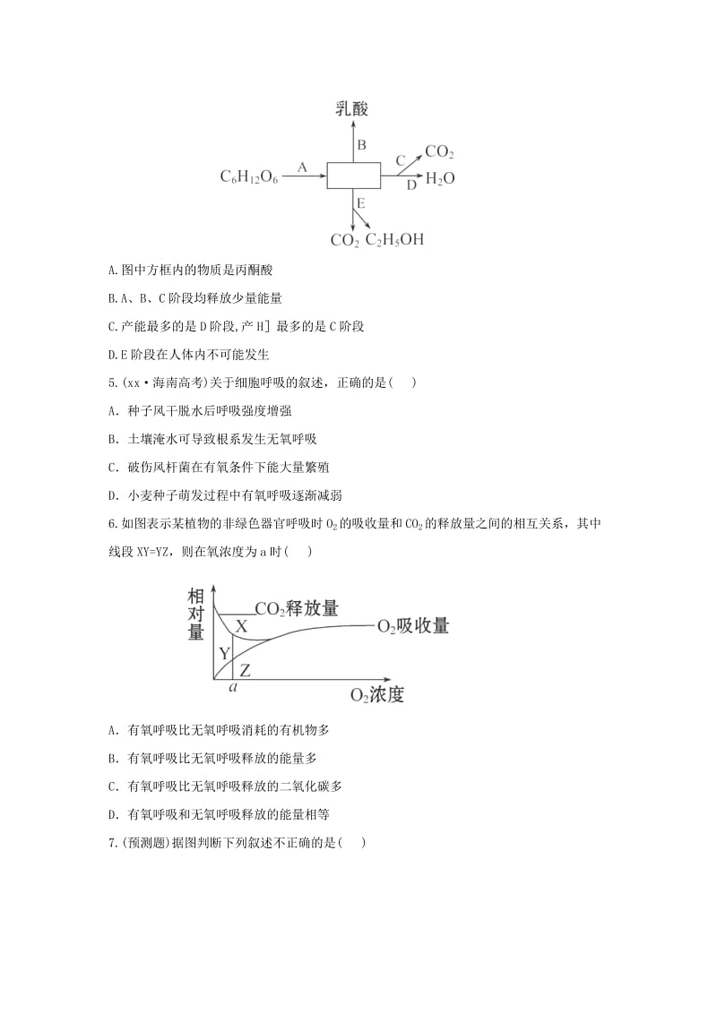 2019-2020年高中生物第一单元有机体中的细胞1.3.2.4从化学能到生物能课时提能演练中图版必修.doc_第2页