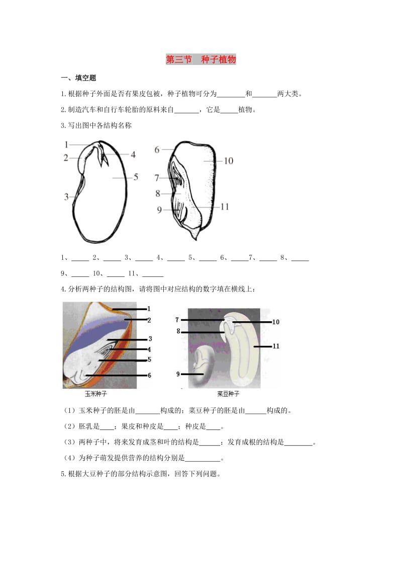 七年级生物上册 3.1.2《种子植物》同步练习 （新版）新人教版.doc_第1页