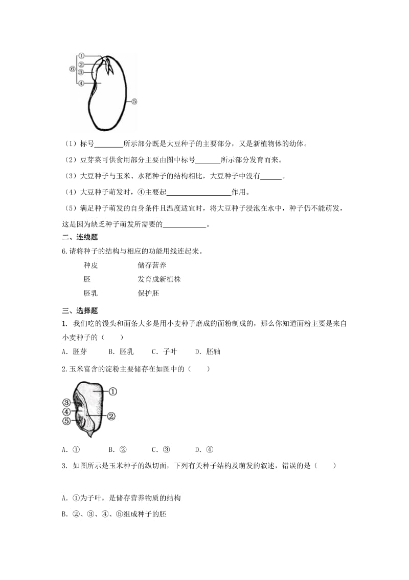 七年级生物上册 3.1.2《种子植物》同步练习 （新版）新人教版.doc_第2页