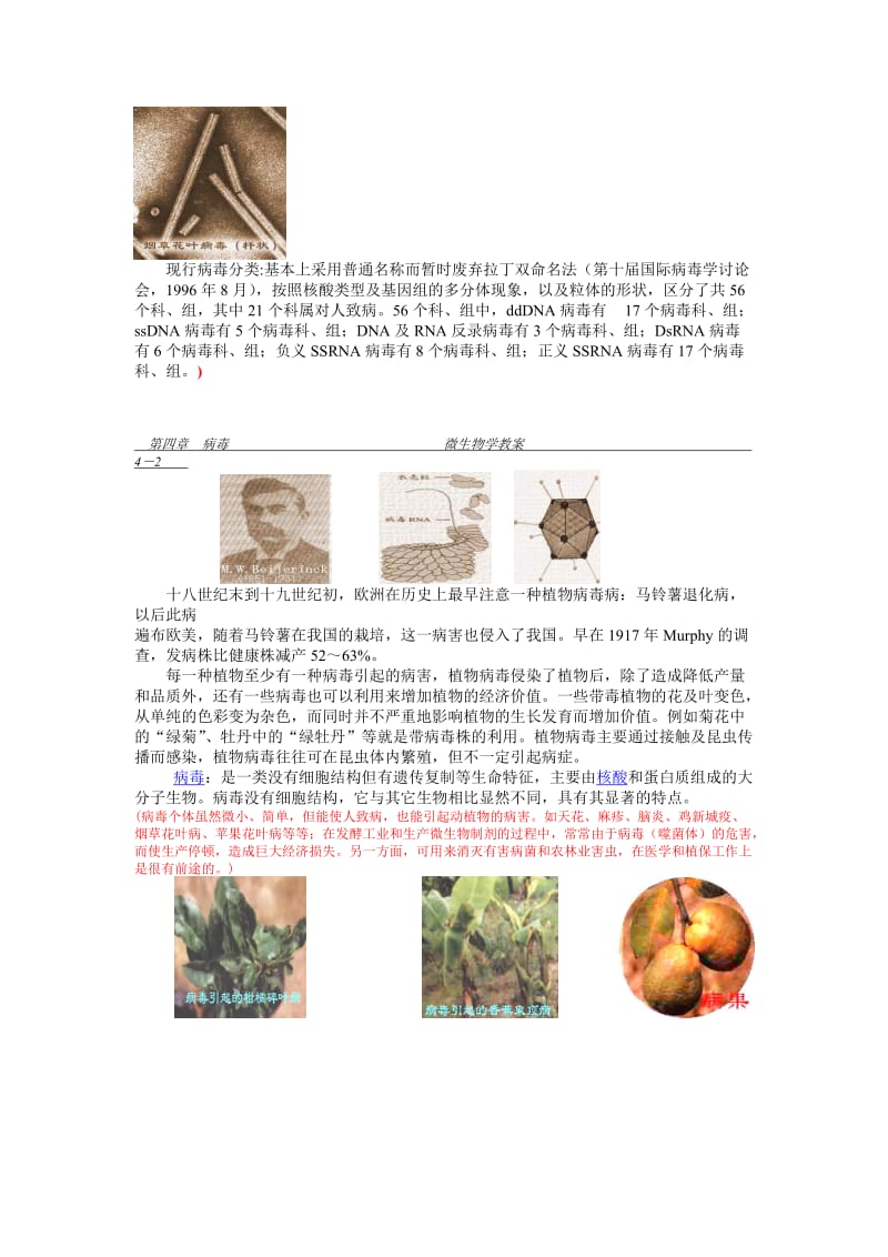 2019-2020年沪科版生命科学高一上3-3《非细胞形态的生物——病毒》导学案.doc_第2页