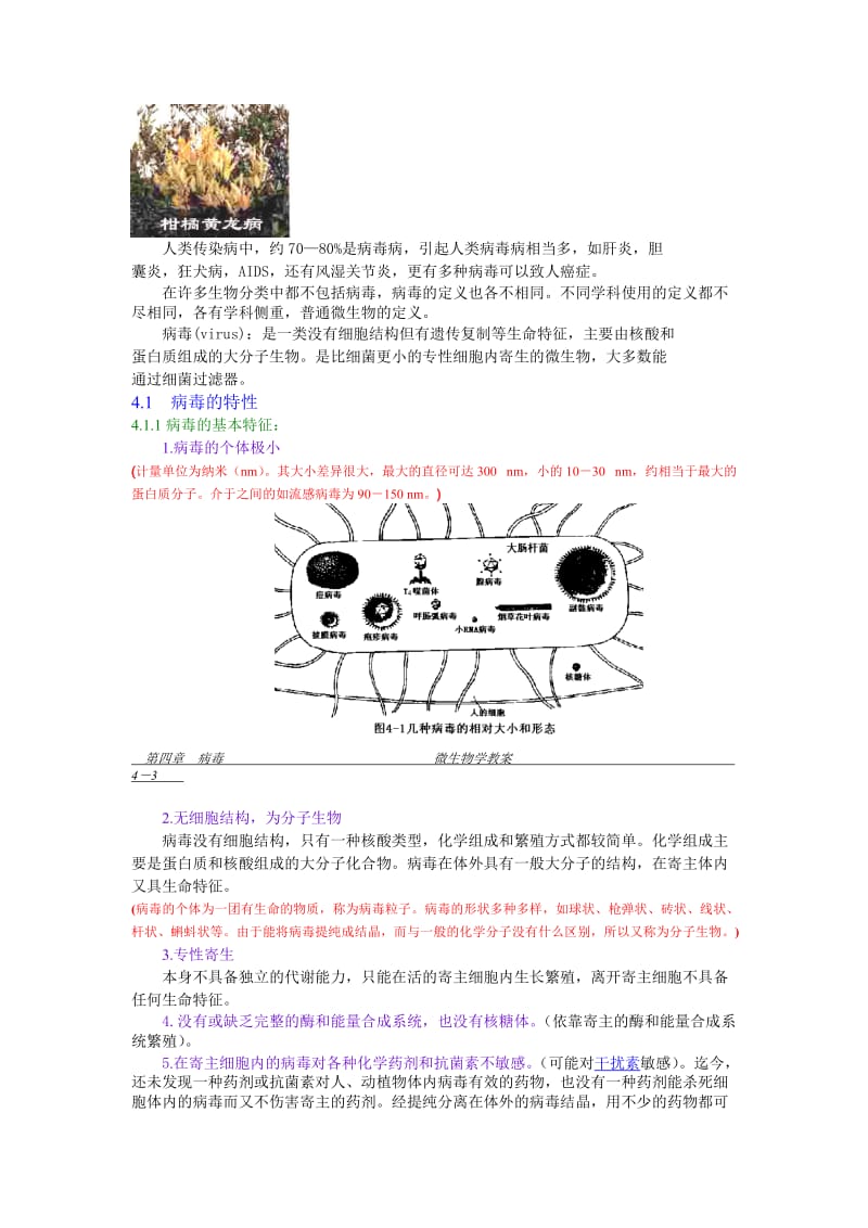 2019-2020年沪科版生命科学高一上3-3《非细胞形态的生物——病毒》导学案.doc_第3页