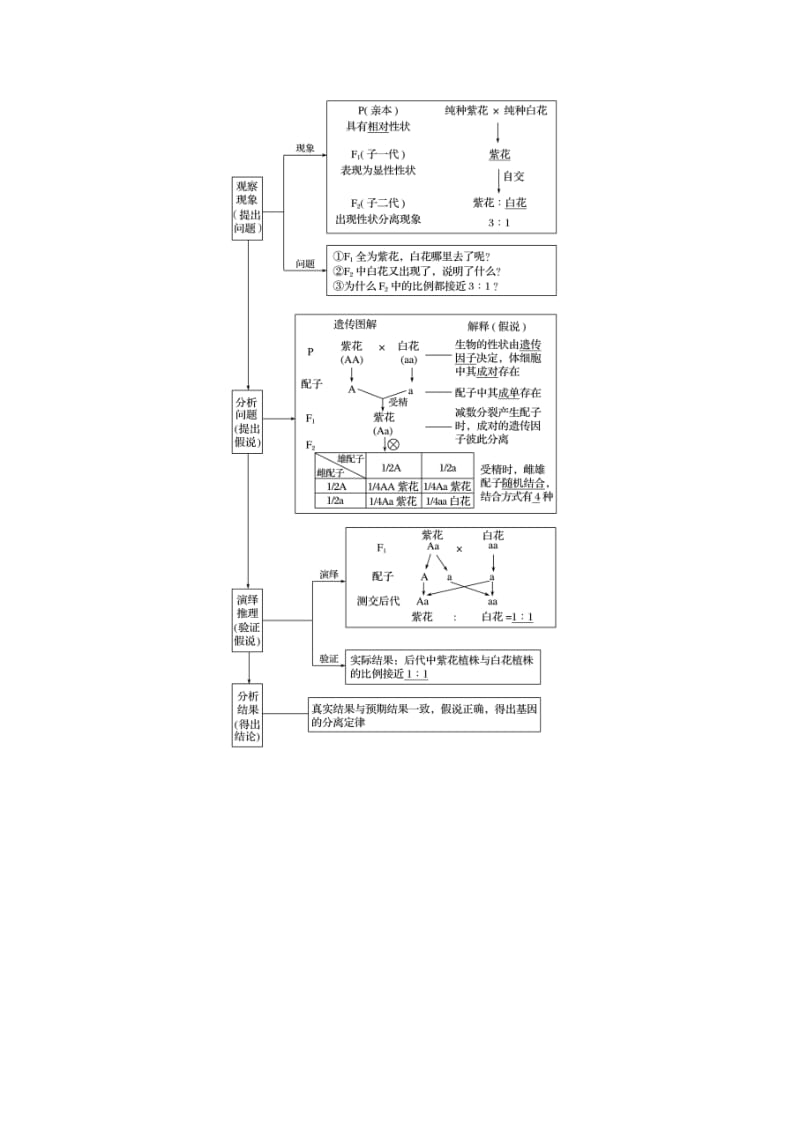 （江苏专用）2020版高考生物新导学大一轮复习 第五单元 基因的传递规律 第15讲 基因的分离定律讲义（含解析）苏教版.docx_第2页