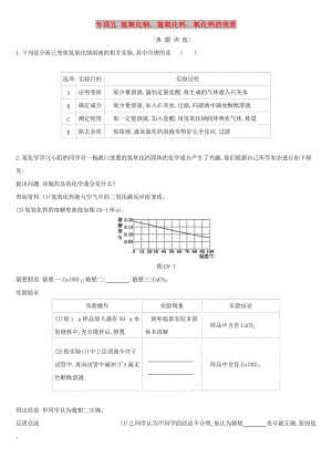 河北省2019年中考化學(xué)復(fù)習(xí) 主題一 身邊的化學(xué)物質(zhì) 專項(xiàng)（五）氫氧化鈉、氫氧化鈣、氧化鈣的變質(zhì)練習(xí).doc