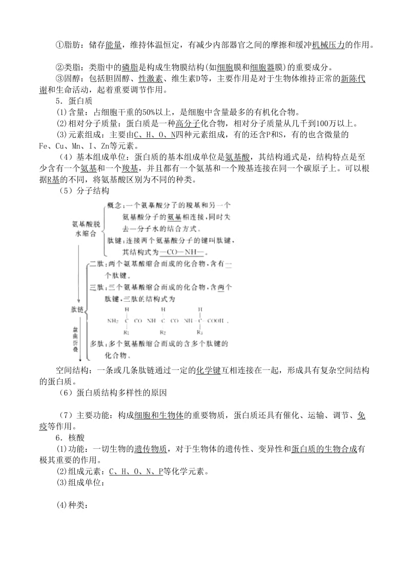 2019-2020年高中生物组成生物体的化合物教案1人教版必修1.doc_第2页