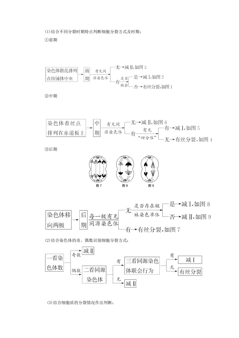 2018-2019年高中生物 第四章 生物的变异 小专题 大智慧 减数分裂与有丝分裂的比较与归纳（加试b）教学案 浙科版必修2.doc_第3页