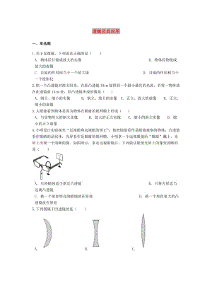 備戰(zhàn)2019中考物理專題練習 透鏡及其應用（含解析）.doc