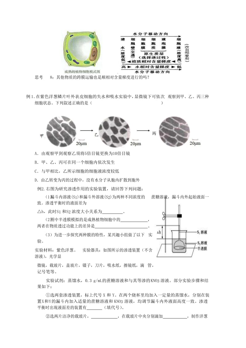 2019-2020年高中生物总复习第4章细胞的物质输入和输出第1讲物质跨膜运输的实例讲义新人教版必修.doc_第3页