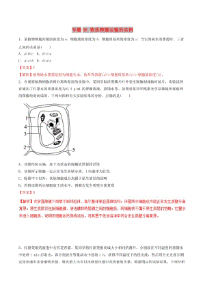 2019年高考生物熱點題型和提分秘籍 專題08 物質(zhì)跨膜運輸?shù)膶嵗}型專練.doc