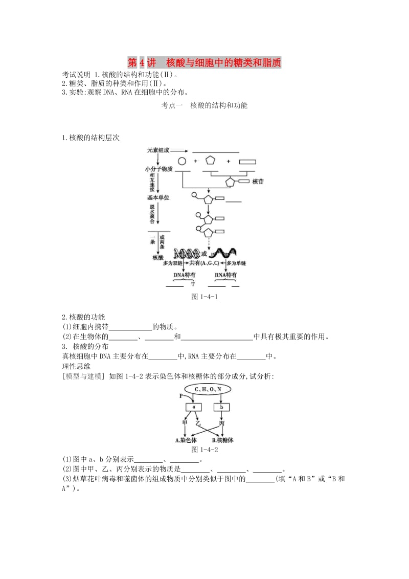 2019版高考生物一轮复习 第1单元 走近细胞与细胞的分子组成 第4讲 核酸与细胞中的糖类和脂质学案 苏教版.doc_第1页