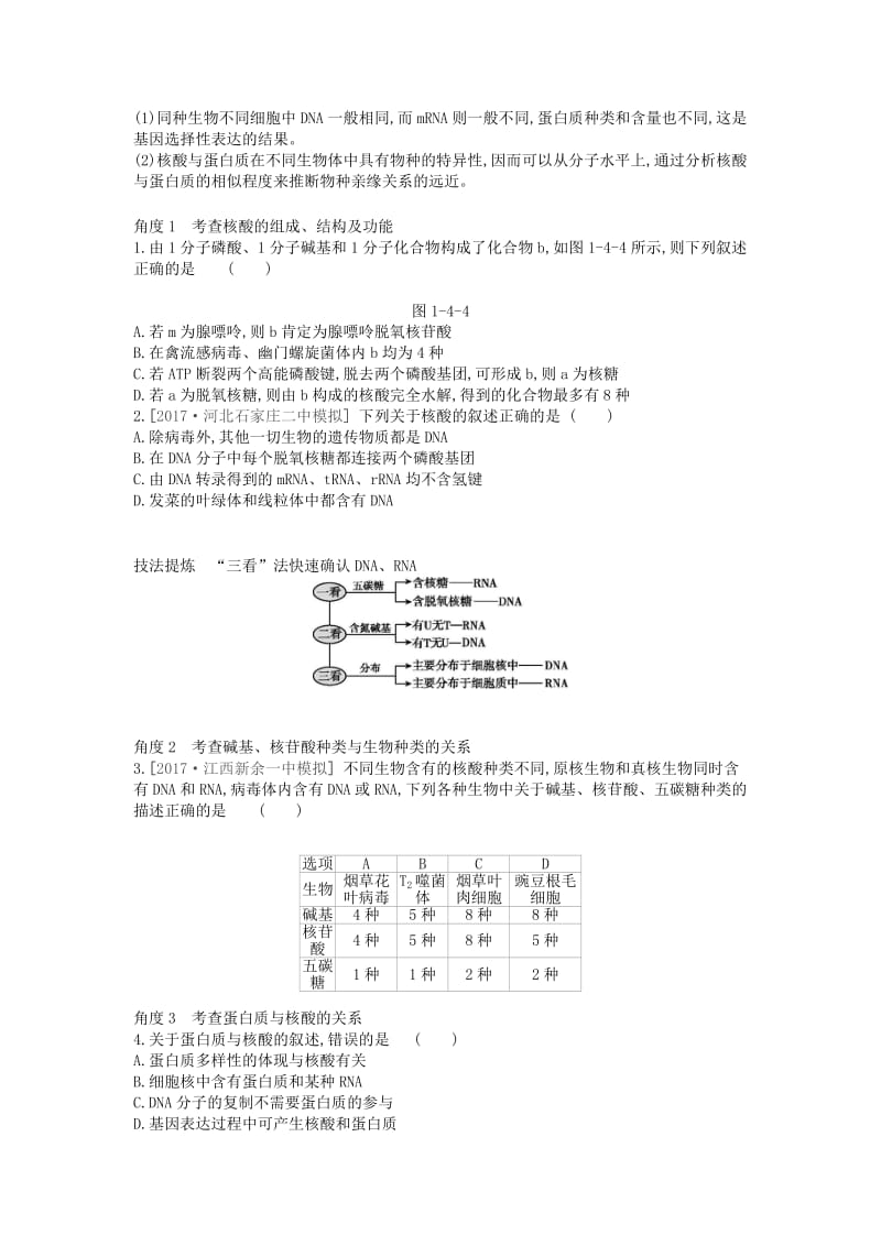 2019版高考生物一轮复习 第1单元 走近细胞与细胞的分子组成 第4讲 核酸与细胞中的糖类和脂质学案 苏教版.doc_第3页