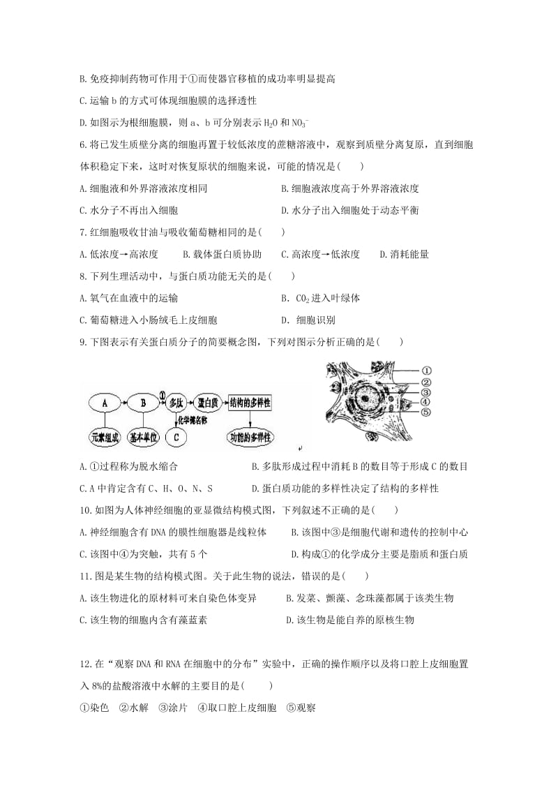 2019-2020年高中生物第4章细胞的物质输入和输出滚动测试5新人教版必修.doc_第2页