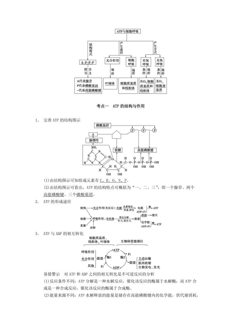 2019-2020年高考生物一轮复习 第三单元 能量之源 光与光合作用 第10讲细胞的能量“通货”ATP学案.doc_第3页