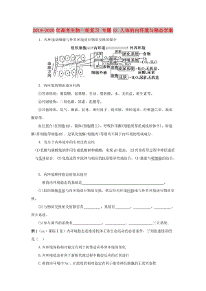 2019-2020年高考生物一輪復(fù)習(xí) 專題12 人體的內(nèi)環(huán)境與穩(wěn)態(tài)學(xué)案.doc