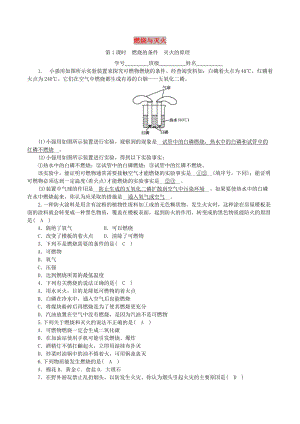 九年級(jí)化學(xué)上冊(cè) 第六單元 燃料與燃燒 第1節(jié) 燃燒與滅火 第1課時(shí) 燃燒的條件 滅火的原理課時(shí)練習(xí) 魯教版.doc