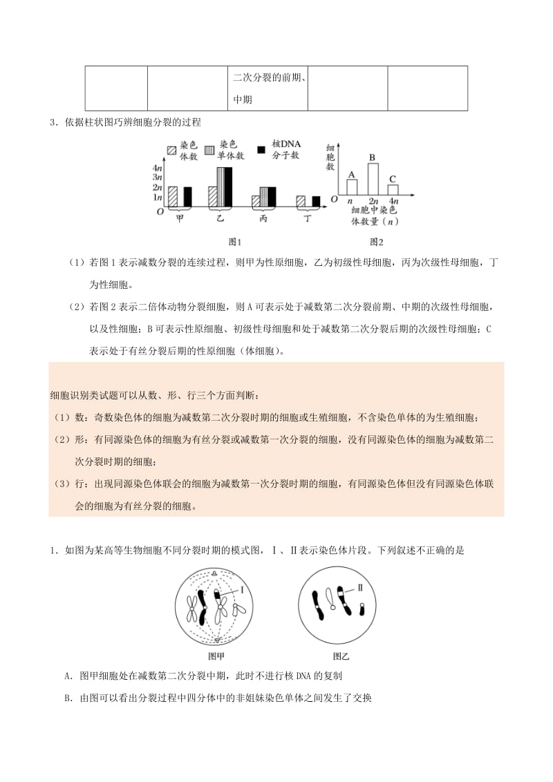 2019年高考生物 纠错笔记 专题04 遗传的细胞基础和分子基础.doc_第3页