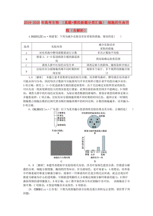 2019-2020年高考生物 （真題+模擬新題分類匯編） 細(xì)胞的生命歷程（含解析）.doc