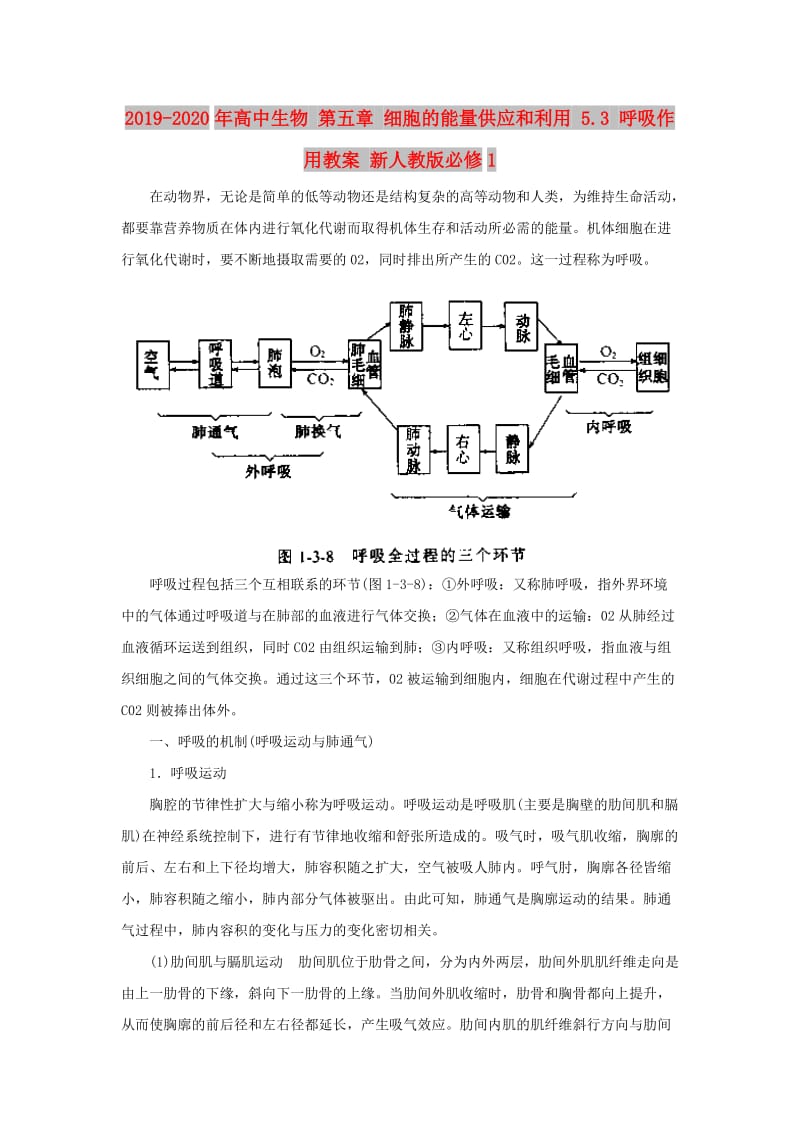 2019-2020年高中生物 第五章 细胞的能量供应和利用 5.3 呼吸作用教案 新人教版必修1.doc_第1页