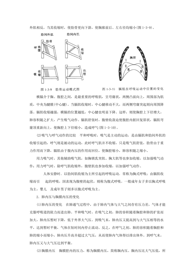 2019-2020年高中生物 第五章 细胞的能量供应和利用 5.3 呼吸作用教案 新人教版必修1.doc_第2页