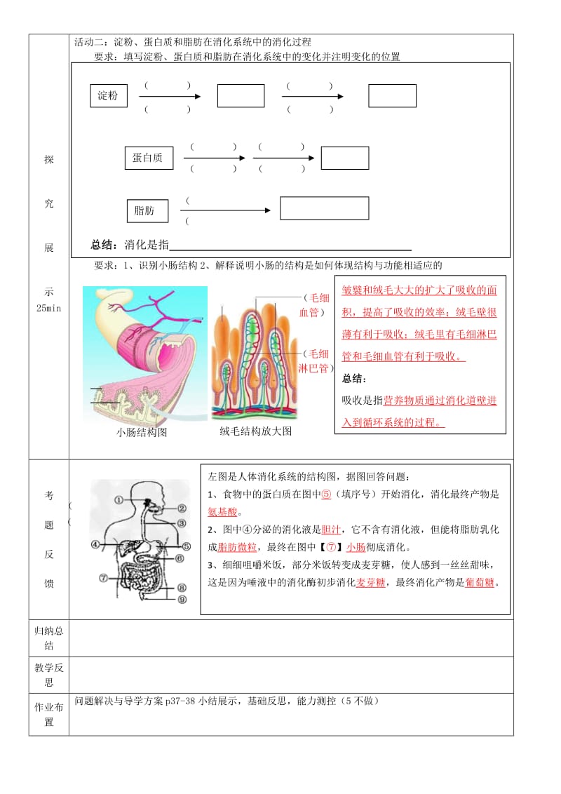 七年级生物下册 9.2人体的消化与吸收（第2课时）学案 （新版）苏教版.doc_第2页