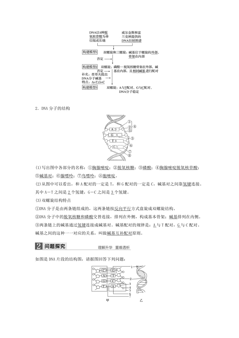 2019-2020年高中生物 第三章 基因的本质 第2节 DNA分子的结构教学案 新人教版必修2.doc_第2页