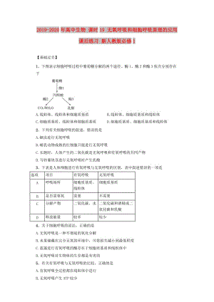 2019-2020年高中生物 課時(shí)19 無氧呼吸和細(xì)胞呼吸原理的應(yīng)用課后練習(xí) 新人教版必修1.doc