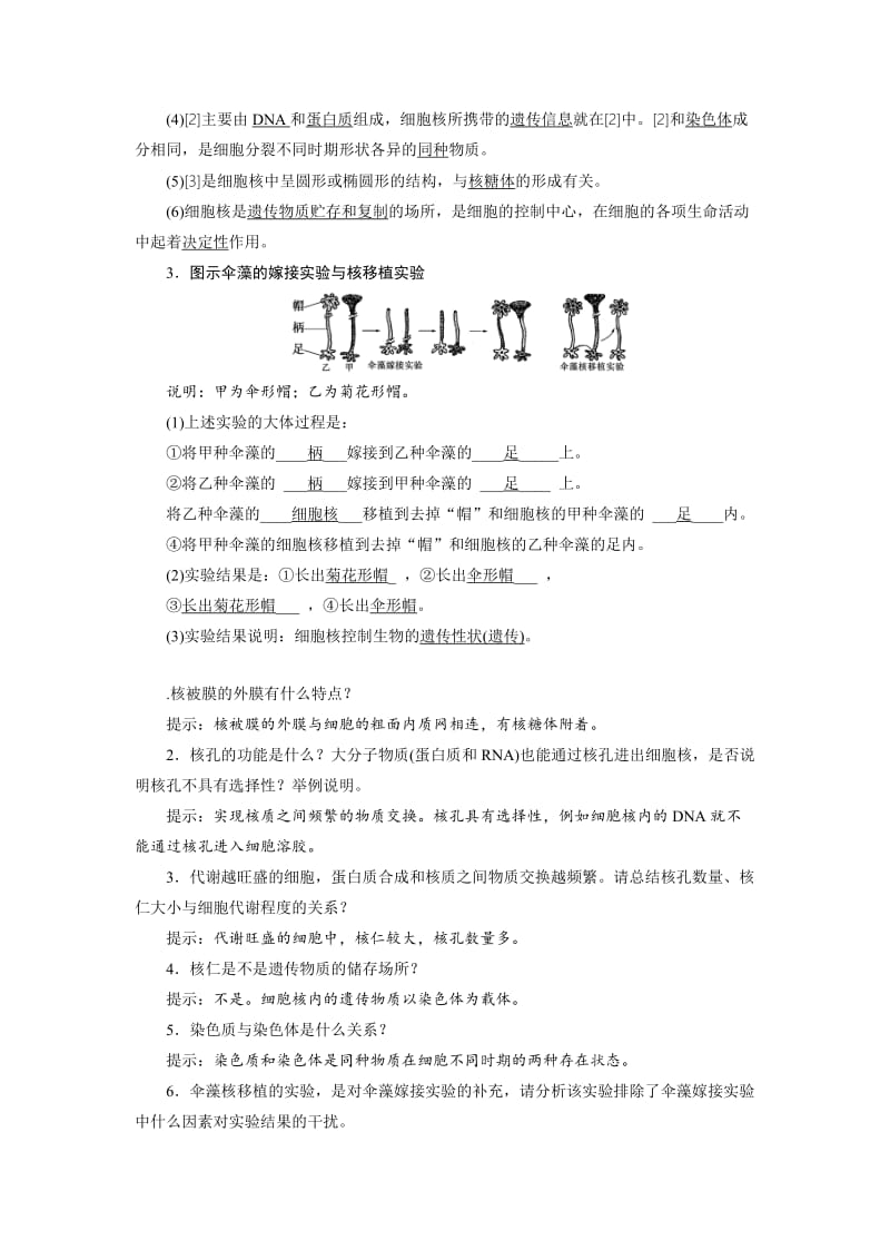 2019-2020年高中生物浙科版必修1教学案：第二章 第四、五节 细胞核 原核细胞(含答案).doc_第2页