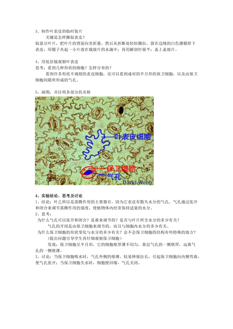 2019-2020年中考生物实验汇总复习 观察叶表皮的气孔教学设计.doc_第3页