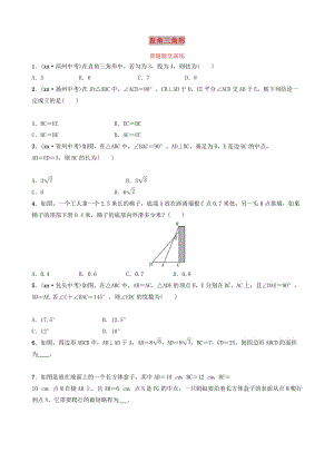 山東省德州市2019中考數(shù)學(xué)復(fù)習(xí) 第四章 幾何初步與三角形 第五節(jié) 直角三角形要題隨堂演練.doc