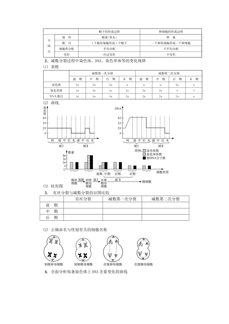 2019-2020年高中生物 第十一讲 减数分裂与配子形成学案 苏教版必修2.doc_第3页