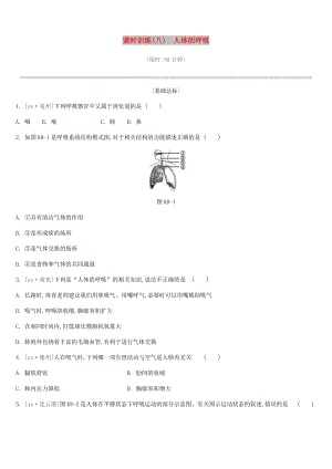 江蘇省徐州市2019年中考生物復(fù)習(xí) 第三單元 生物從環(huán)境中獲取物質(zhì)和能量 課時(shí)訓(xùn)練08 人體的呼吸.doc