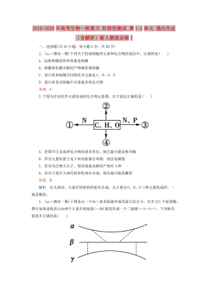 2019-2020年高考生物一輪復(fù)習(xí) 階段性測(cè)試 第1-2單元 強(qiáng)化作業(yè)（含解析）新人教版必修1.doc