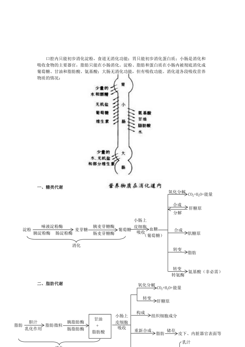 2019-2020年沪科版生命科学高一上4-4《生物体内营养物质的转变》练习1.doc_第2页