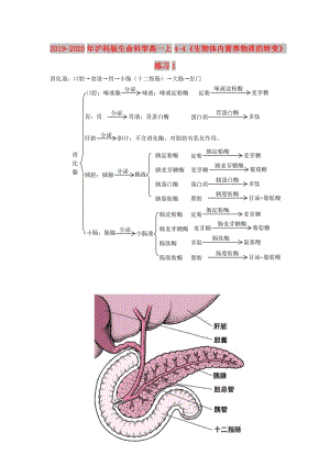 2019-2020年滬科版生命科學(xué)高一上4-4《生物體內(nèi)營養(yǎng)物質(zhì)的轉(zhuǎn)變》練習(xí)1.doc