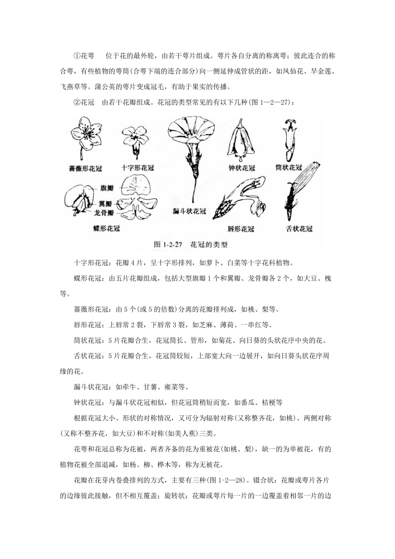 2019-2020年高中生物《植物的生殖》相关知识 新人教版必修3.doc_第2页