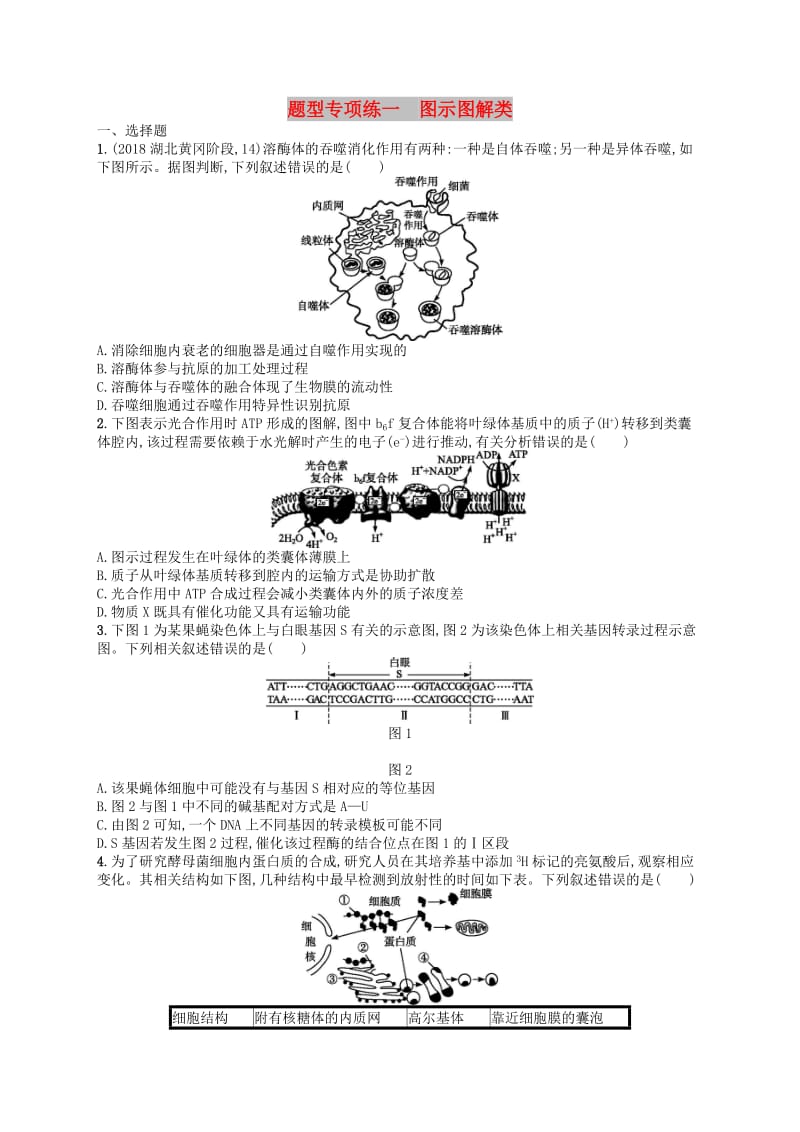 2019版高考生物大二轮复习 题型增分练：题型专项练1 图示图解类.doc_第1页