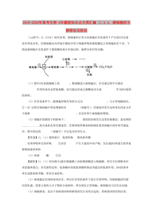 2019-2020年高考生物 6年題按知識(shí)點(diǎn)分類(lèi)匯編 三.2.4、癌細(xì)胞的主要特征及防治 .doc