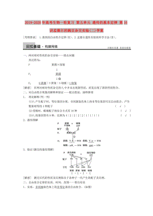 2019-2020年高考生物一轮复习 第五单元 遗传的基本定律 第16讲孟德尔的豌豆杂交实验(二)学案.doc