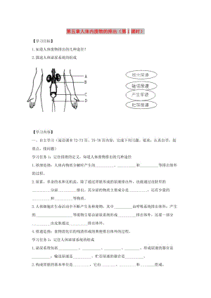 七年級(jí)生物下冊(cè) 4.5《人體內(nèi)廢物的排出》第一課時(shí)導(dǎo)學(xué)案 （新版）新人教版.doc