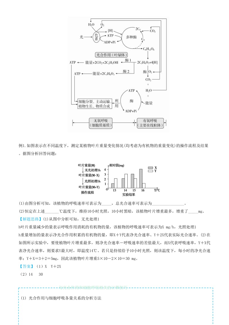 2019届高考生物二轮复习 专题4 光合作用和细胞呼吸学案.docx_第2页