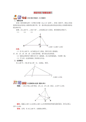 九年級數(shù)學上冊 專題突破講練 相似中的“射影定理”試題 （新版）青島版.doc