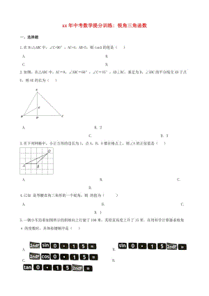 湖南省邵陽市中考數(shù)學提分訓練 銳角三角函數(shù)（含解析）.doc