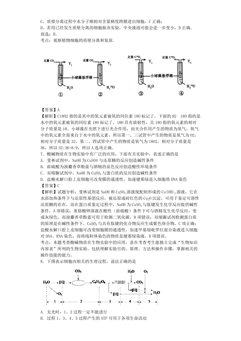 2019-2020年高考生物二轮复习光合作用和呼吸作用专题卷(I).doc_第3页