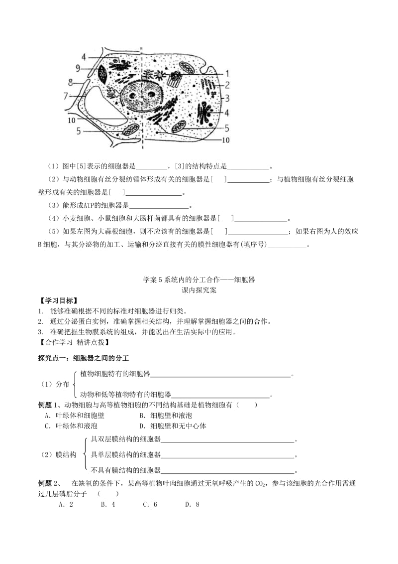 2019-2020年高考生物总复习 第5讲 系统内的分工合作 细胞器学案 新人教版必修1.doc_第3页