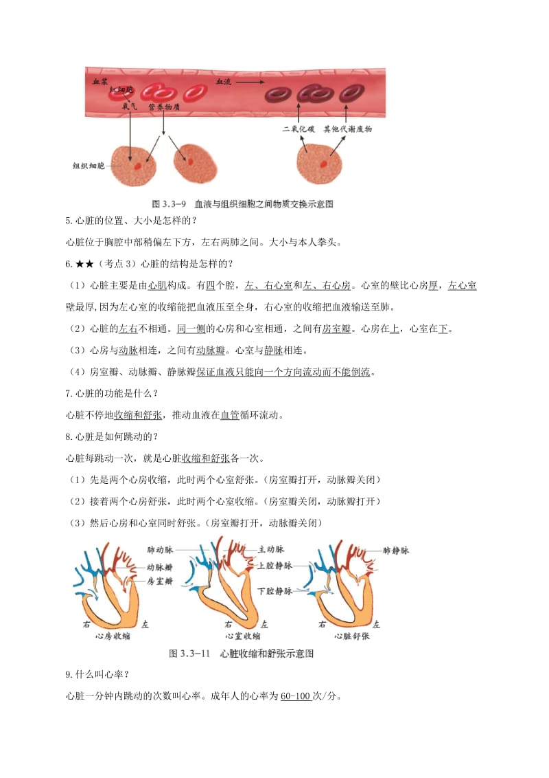 山东省安丘市七年级生物下册第三单元第三章第二节物质运输的器官知识点+巩固提高新版济南版.doc_第2页