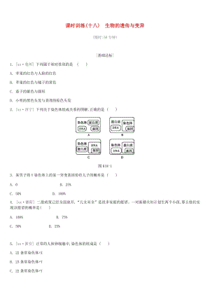 江蘇省徐州市2019年中考生物復習 第六單元 生命的延續(xù)與進化 課時訓練18 生物的遺傳與變異.doc